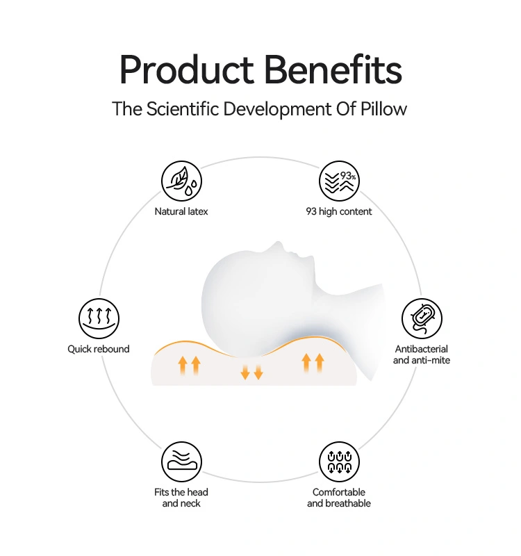 Talalay Latex Bread Pillow