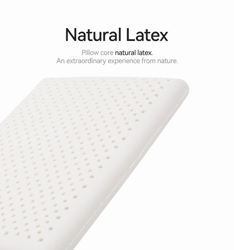 Talalay Latex Bread Pillow
